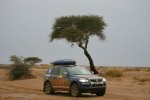 Despre Dakar – Navigatorii