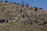 3.000 de voluntari au continuat procesul de refacere a padurii de pe Valea Trotusului