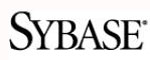 Sybase raporteaza rezultate record pentru trimestrul II