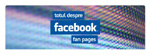 „Totul despre Facebook Fan Pages”, un inedit ebook oferit de Evensys
