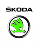 ŠKODA Motorsport sarbatoreste victoria de la Raliul Ungariei, gratie lui Jan Kopecký