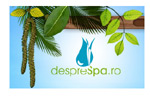 DespreSpa.ro – primul serviciu online de vouchere cadou valabile in 27 de centre SPA din Romania