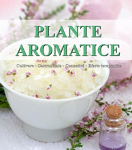 Plante aromatice