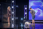 Catelul Deliei, vedeta pe scena X Factor