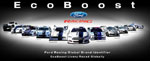 Ford Racing Debuts New Global Motorsport Identifier