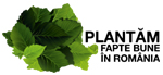 2112 voluntari „Plantam fapte bune in Romania” au plantat 60.000 copacei in 8 judete