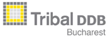 Agentia digitala globala Tribal DDB isi deschide cel mai nou birou la Bucuresti