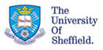 Facultatea Internationala a Universitatii Sheffield sustine excelenta in medicina