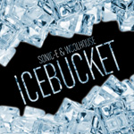 Cele mai mari gafe marca Ice Bucket Challenge inspira remixul lui Sonic-e si Woolhouse