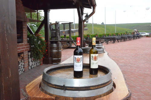 Selgros lanseaza in exclusivitate vinul Grand Appetit, produs de catre Cramele Recas