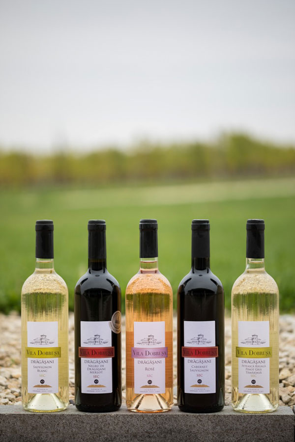 Crama AVINCIS lansează VILA DOBRUŞA, gama de vinuri destinată exclusiv segmentului de retail