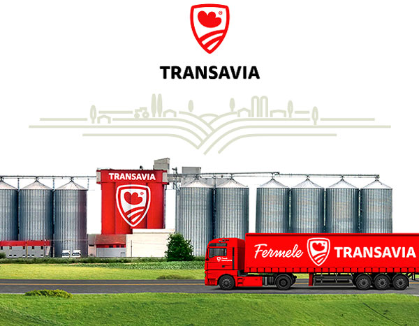 Brandient a revitalizat brandul Transavia