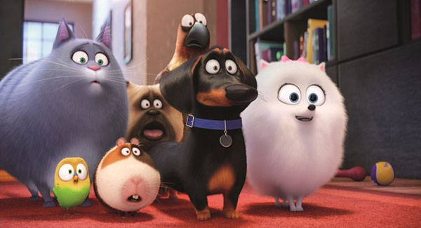 Animația “Secret Life of Pets” / “Singuri acasă”, acum pe DVD și BluRay