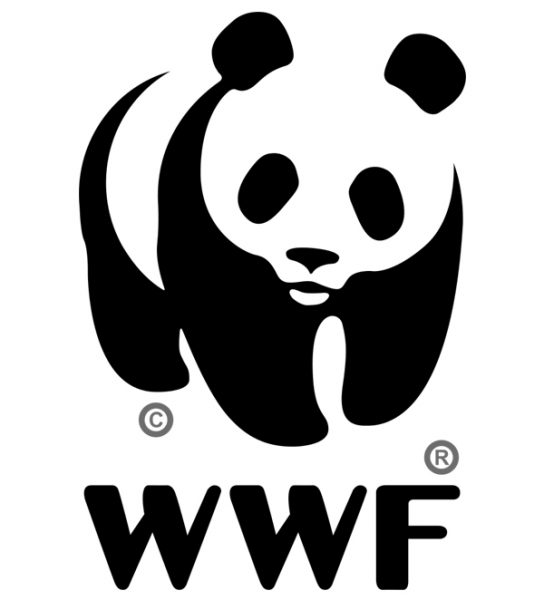 Salvarea sturionilor din Dunăre, prioritate WWF la nivel internațional