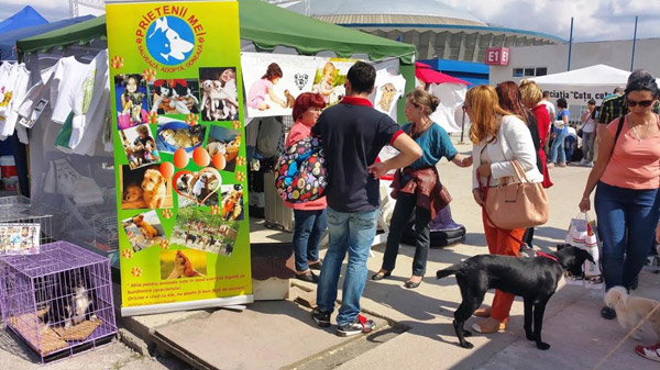 Șase asociații vor lansa campania “Adoptă un câine” la Pet Expo