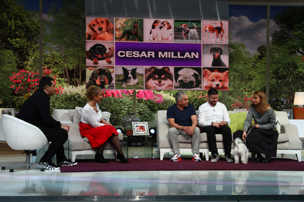 Cesar Millan la “Teo Show”. Prima interventie in Romania, in direct, a celebrului antrenor canin
