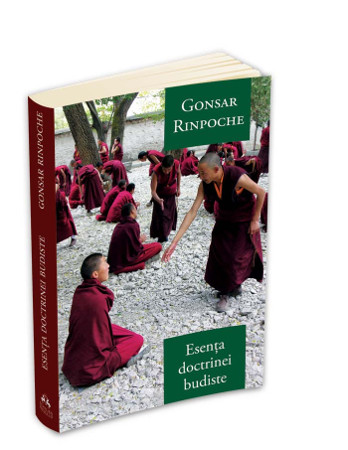 Esenta doctrinei budiste