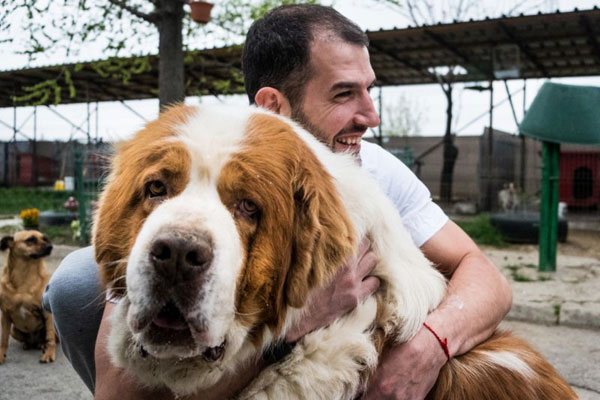 Cainii de la Speranța și Cercetașii României serbează împreună Ziua Animalelor