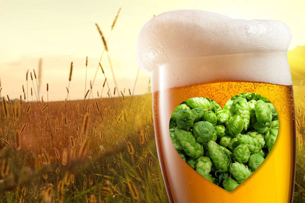 Nou studiu științific despre efectele consumului moderat de bere pentru sănătate