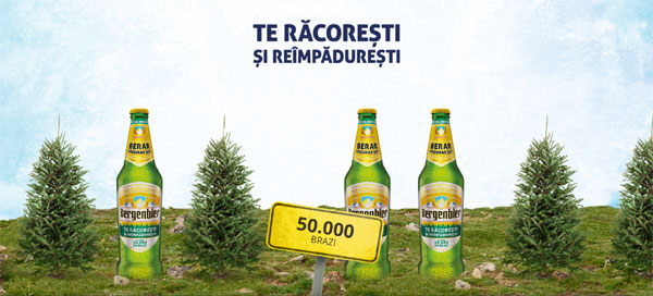 Bergenbier plantează 50.000 de brazi în trei zone din Vestul României
