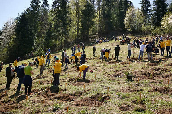 Bergenbier a strâns peste două sute de voluntari pentru cea mai amplă acțiune de reîmpădurire din România