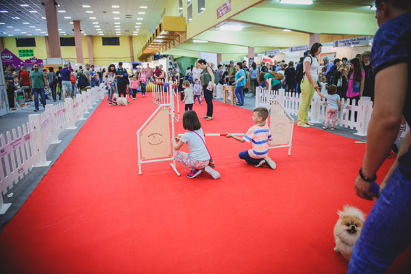La aniversarea de 10 ani, PetExpo oferă distracție totală pentru familiile cu copii și animale de companie