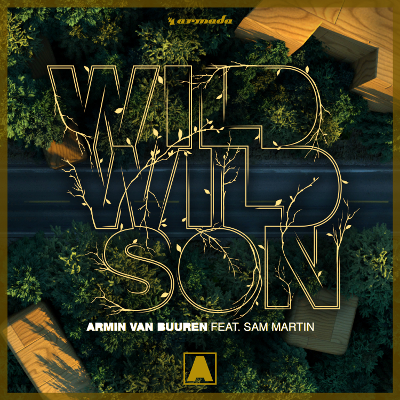 Armin van Buuren feat. Sam Martin – Wild Wild Son