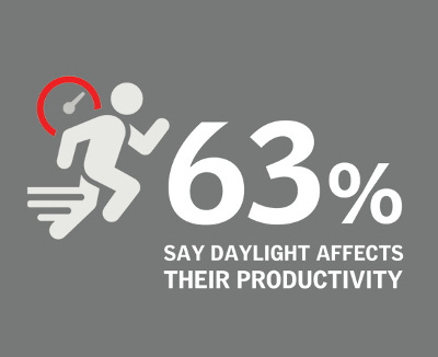 lumina productivitate