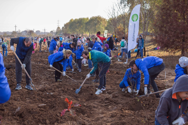 Pentru al doilea an consecutiv, Daikin România a plantat mii de copaci pentru un viitor cu aer mai curat