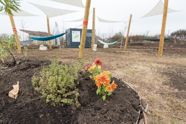 Kaufland România inaugurează o nouă grădină urbană din proiectul „Grădinescu” la Alba Iulia