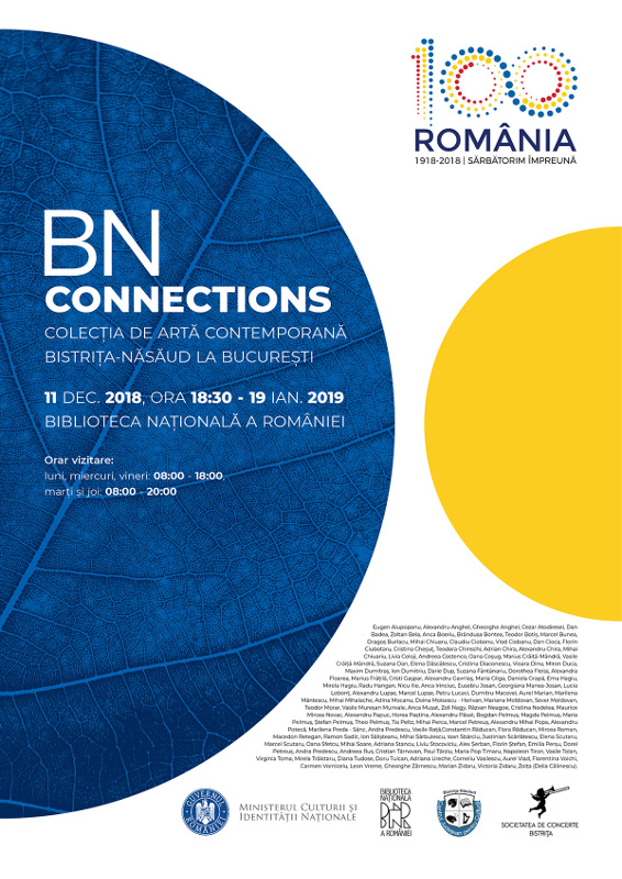 BN CoNNECTIONS – Colecția de artă contemporană Bistrița-Năsăud la București