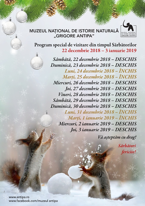 Programul Special de vizitare al Muzeului Antipa în perioada 22 decembrie 2018 – 3 ianuarie 2019
