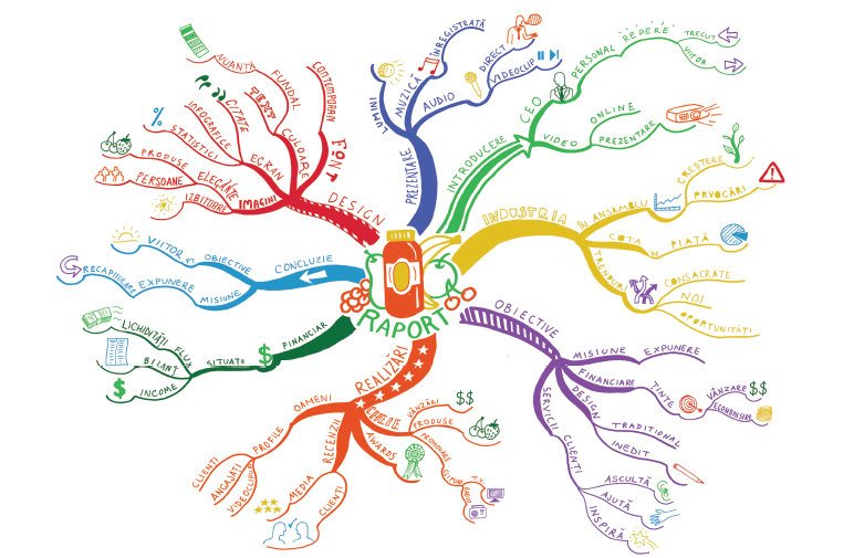 raport anual mind mapping