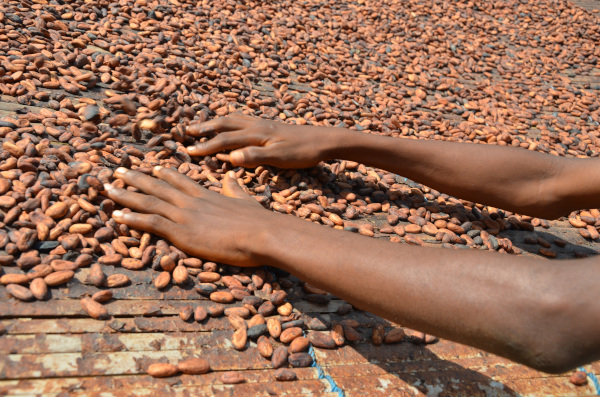 Mondelēz International se angajează să asigure 100% din volumul de cacao pentru toate brandurile de ciocolată, prin programul său de sustenabilitate Cocoa Life până în 2025