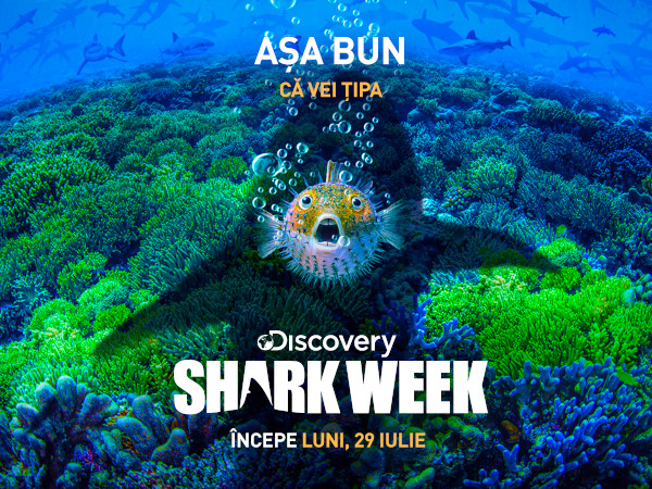Din 29 iulie, Shark Week face valuri pe Discovery Channel, cu peste 20 de ore de conținut cu și despre rechini