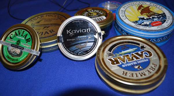 WWF România: De sărbători, achiziționați caviar de la marii comercianți, în niciun caz de la marginea drumului