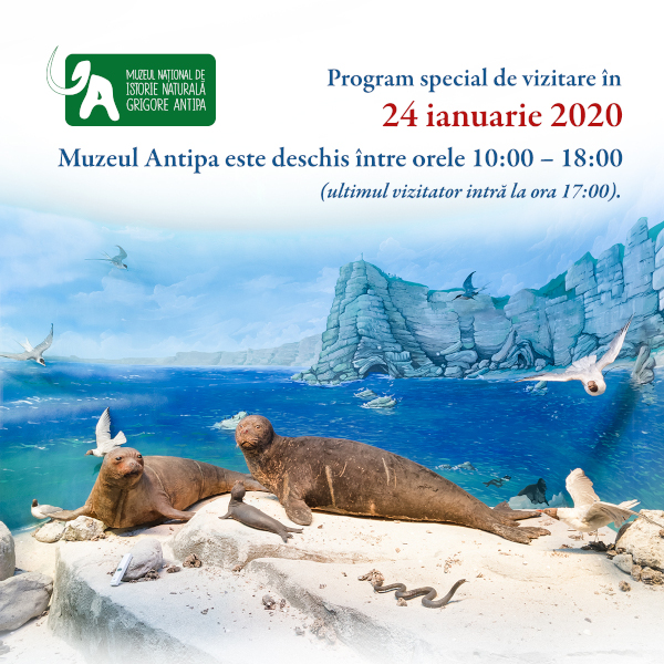 Programul special de vizitare al Muzeului Antipa vineri, 24 ianuarie 2020