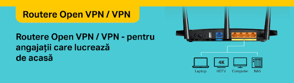Routere Open VPN VPN_Work From Home