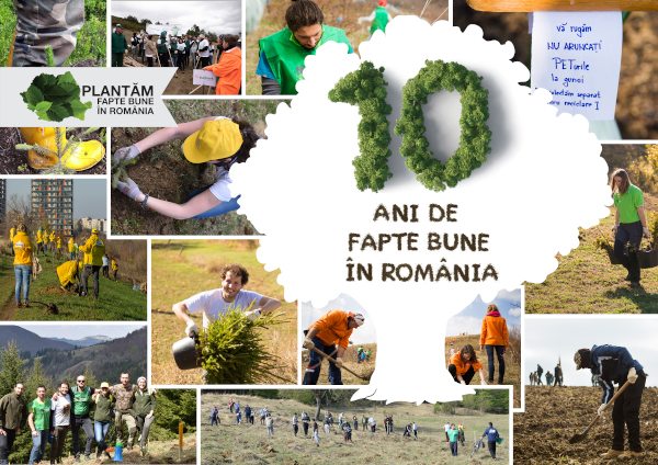 Plantăm fapte bune în România – număram puieții plantați cu gândul la voluntarii care ne susțin de la distanță