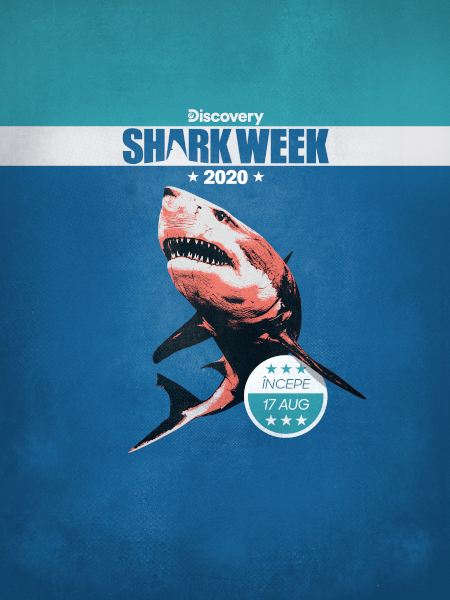 Din 17 august, rechini din toată lumea înoată pe ecranele fanilor Discovery Channel