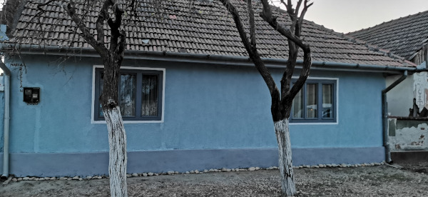 Color the Village - echipa TVR Timisoara