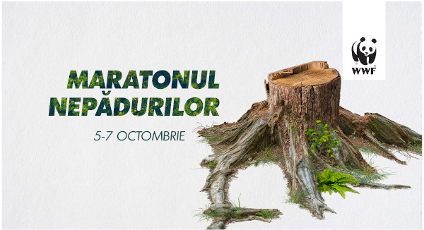 Maratonul NePădurilor - Kubis Interactive