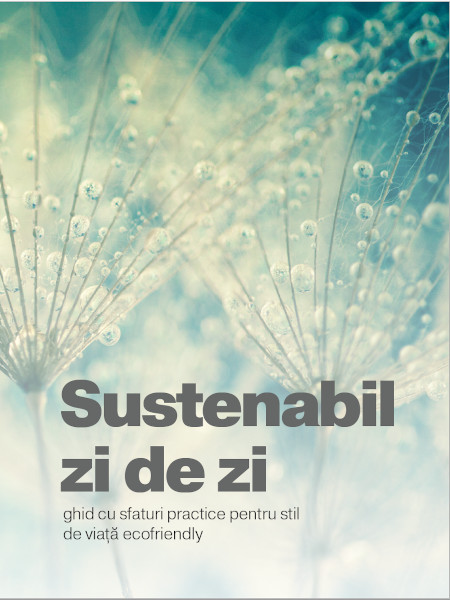 Sustenabil zi de zi – rezoluția pentru 2021 propusă de Environ, Eco Synergy și Stratos