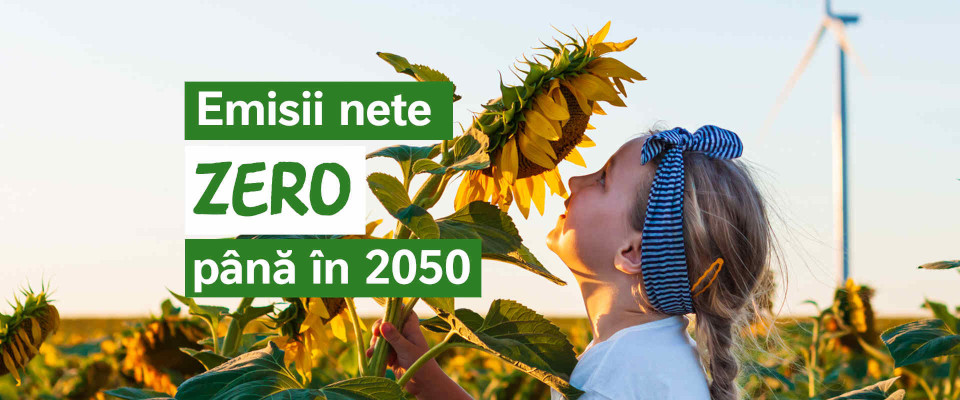 Nestlé își intensifică eforturile de combatere a schimbărilor climatice la nivel global, mizând pe agricultură regenerativă și energie verde
