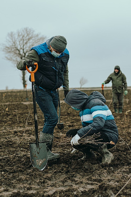 Metropolitan Life anunță plantarea unei păduri de 2 hectare, un copac pentru fiecare poliță individuală încheiată în anul 2020