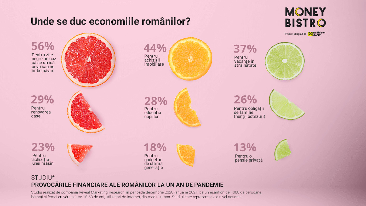 Infografie 4_economiile romanilor
