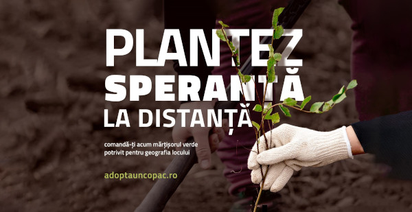 Vizual 1 campanie AdoptaunCopac_Planteaza