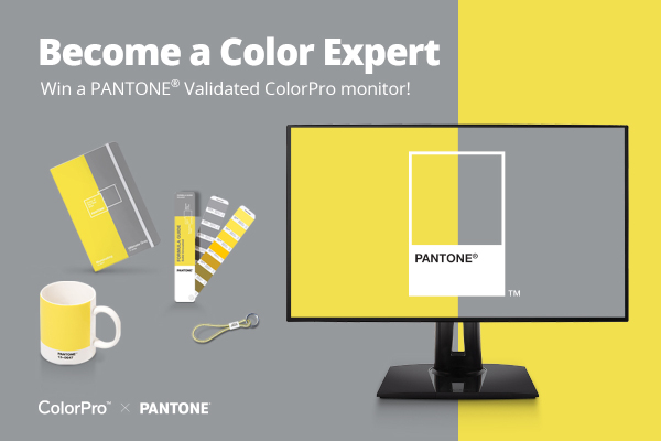 ViewSonic și Pantone au anunțat tombola online “Deveniți experți în culori”