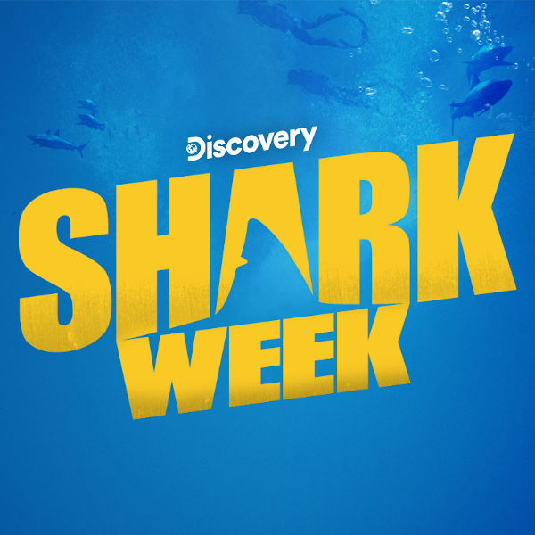Discovery Channel lansează la apă Shark Week 2021 cu o selecție de programe speciale de-a lungul unei săptămâni dedicate rechinilor