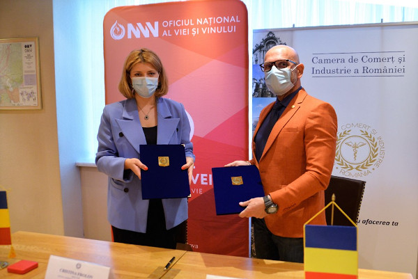 Cristina Frolov, ONVV și Bogdan Vișan, CCIR